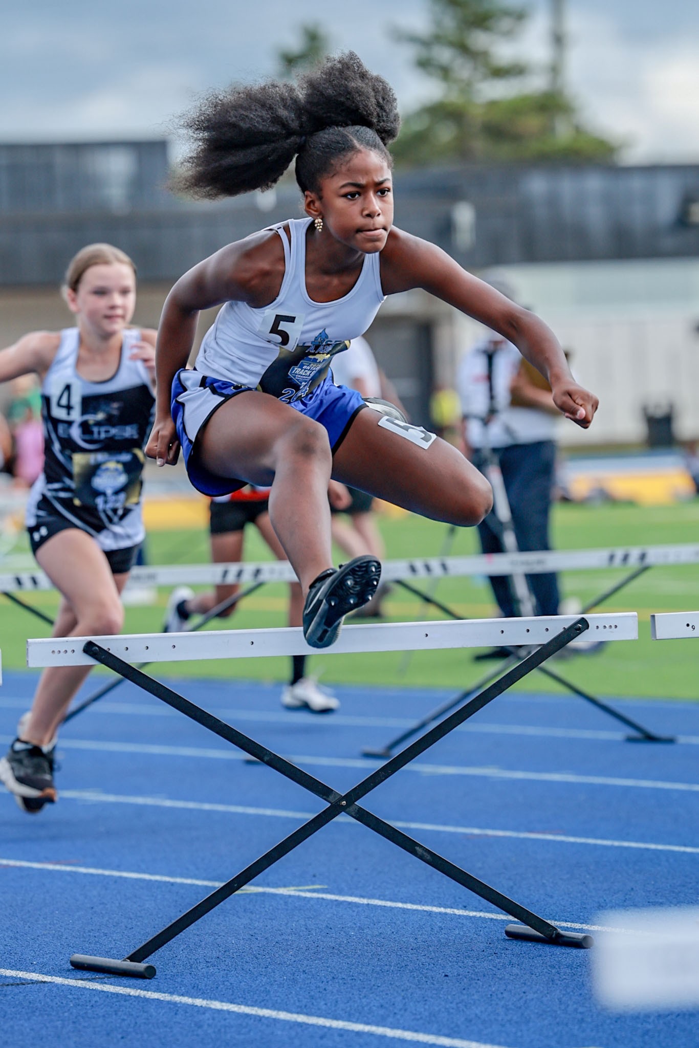 Hurdles